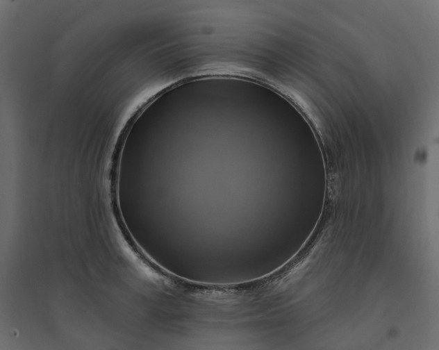 X0000094420995200711211406