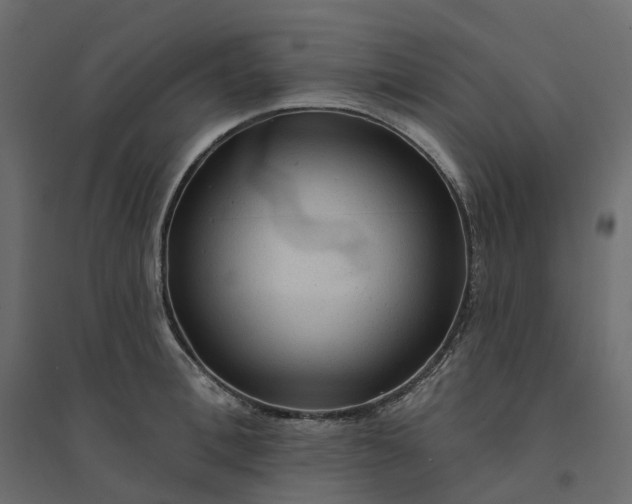 X0000094420996200711211406