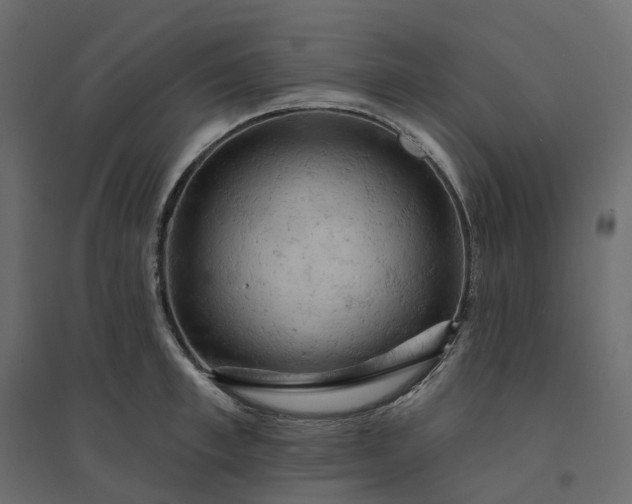 X0000094420997200711211406