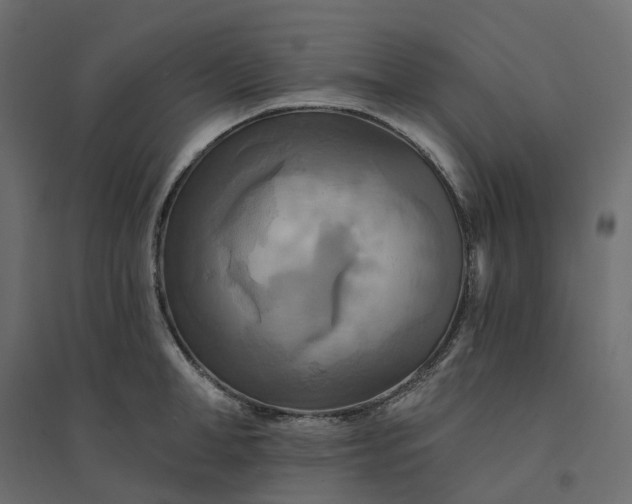 X0000094420998200711211406