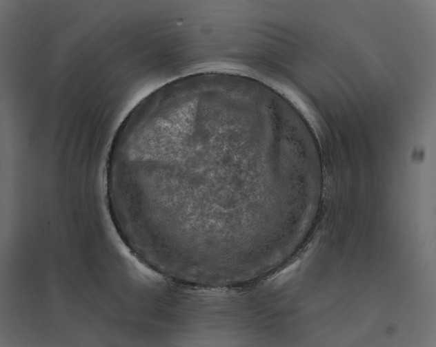 X0000094420999200711211406