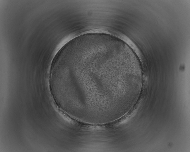 X0000094421002200711211406