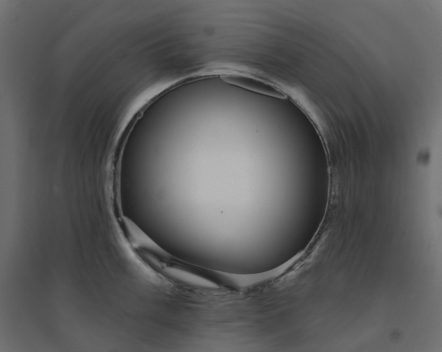 X0000094421003200711211406