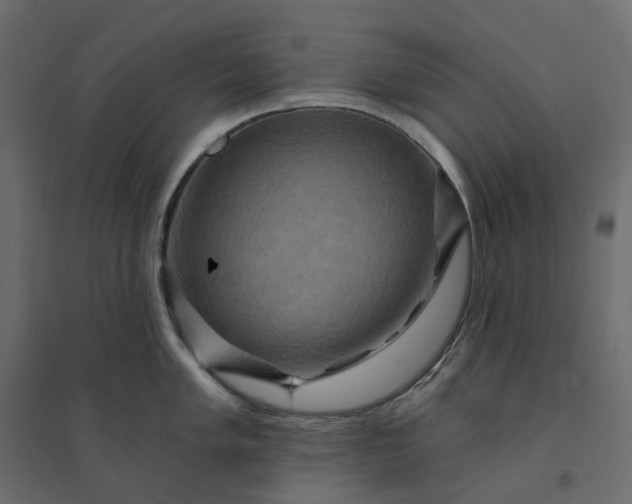 X0000094421005200711211406