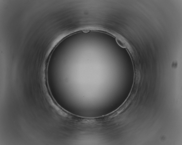 X0000094421006200711211406