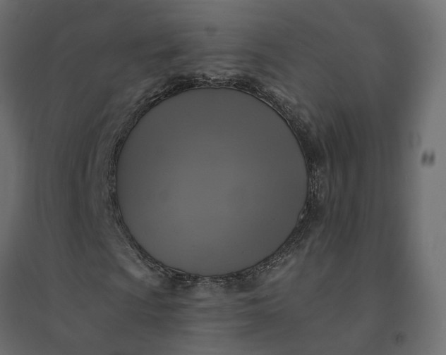 X0000094421009200711211405
