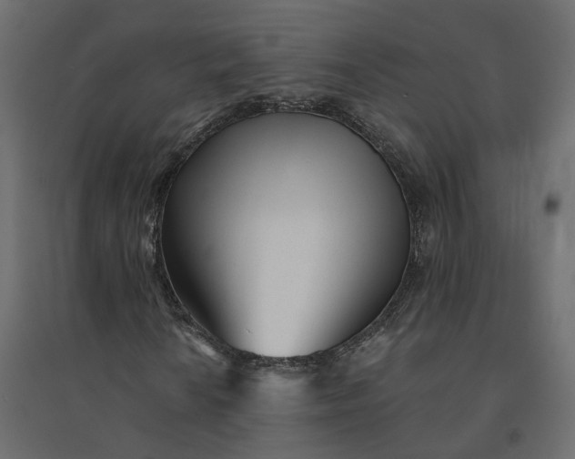 X0000094421010200711211405
