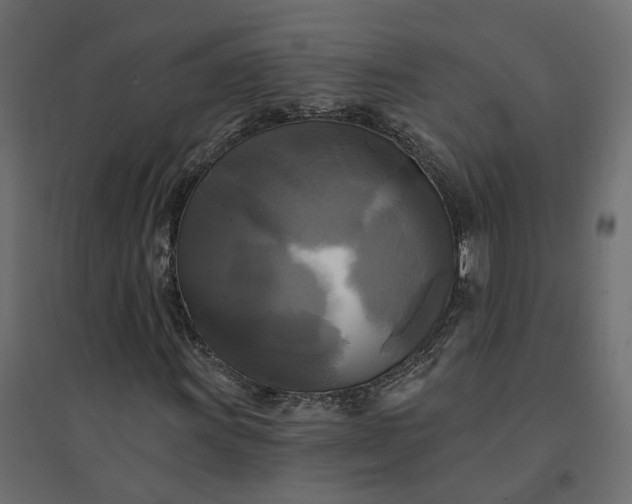 X0000094421011200711211405