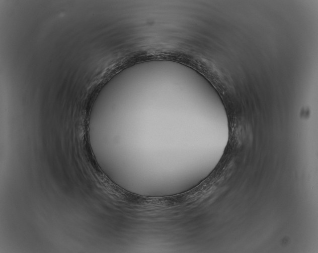 X0000094421012200711211405