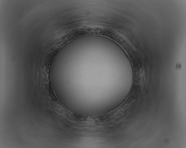 X0000094421013200711211405