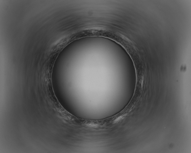 X0000094421014200711211405