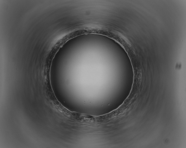X0000094421016200711211406