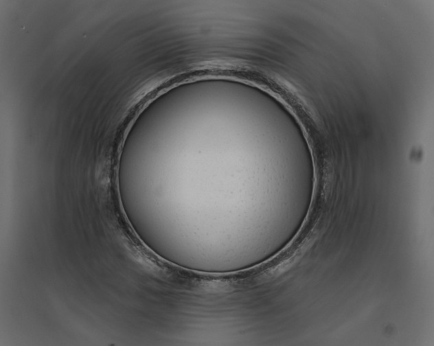 X0000094421017200711211406