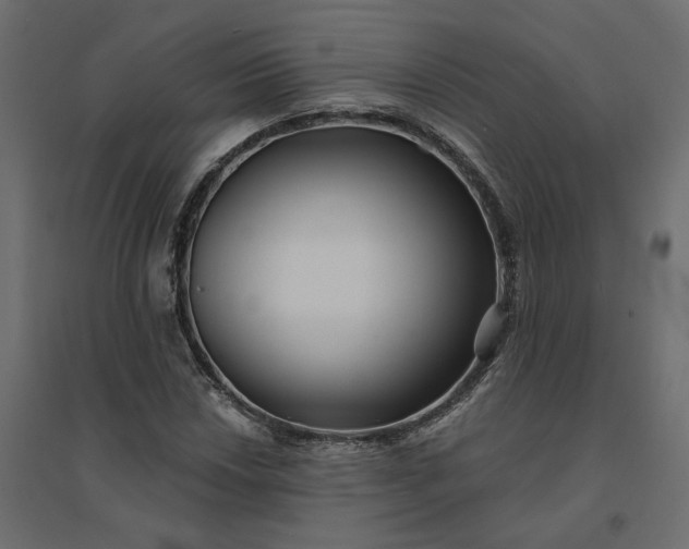 X0000094421018200711211406