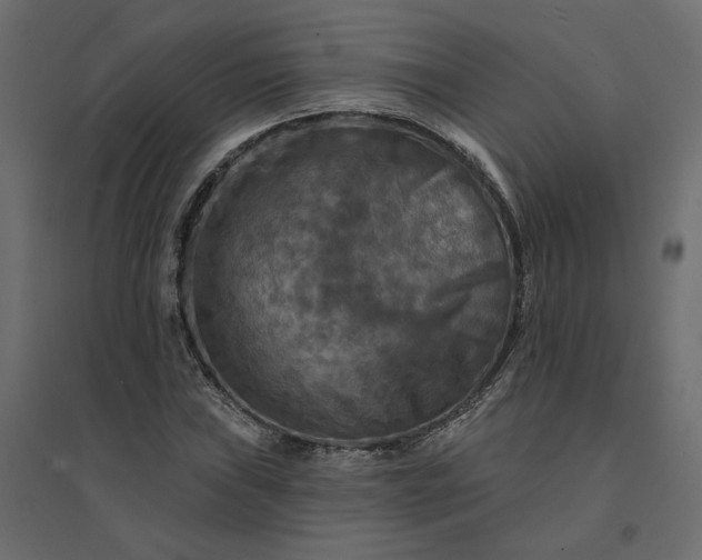 X0000094421019200711211406