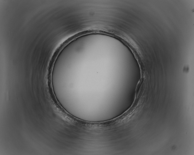 X0000094421020200711211406