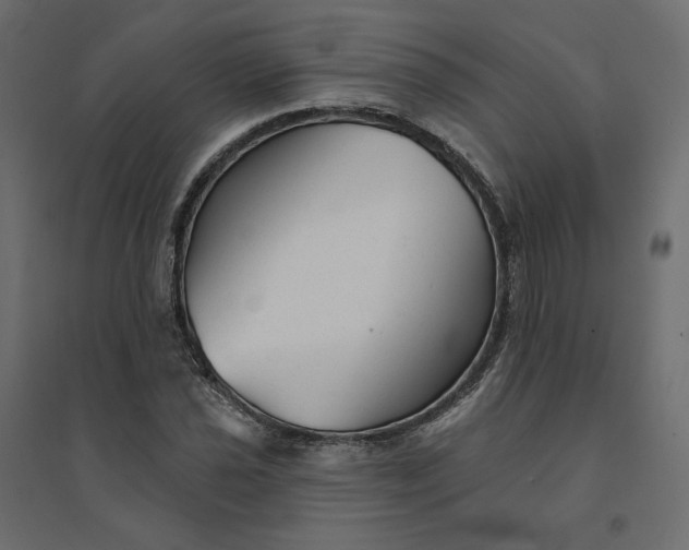 X0000094421021200711211406