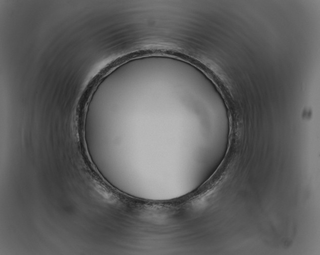 X0000094421022200711211406
