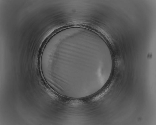 X0000094421023200711211406