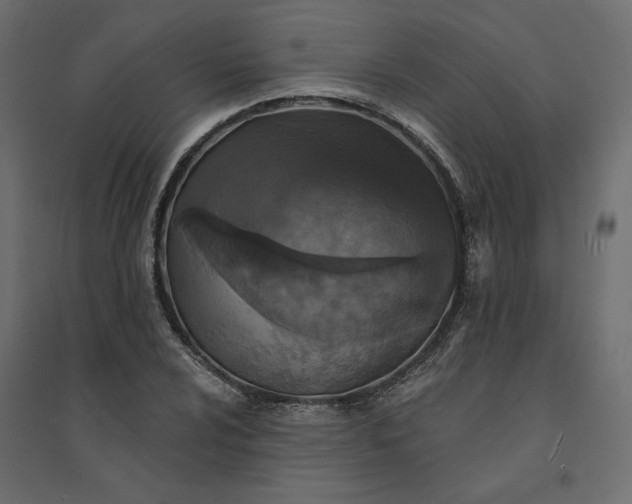 X0000094421024200711211406