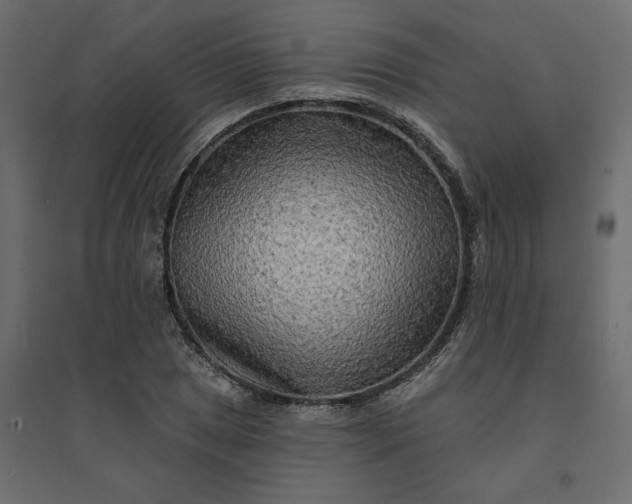 X0000094421025200711211406