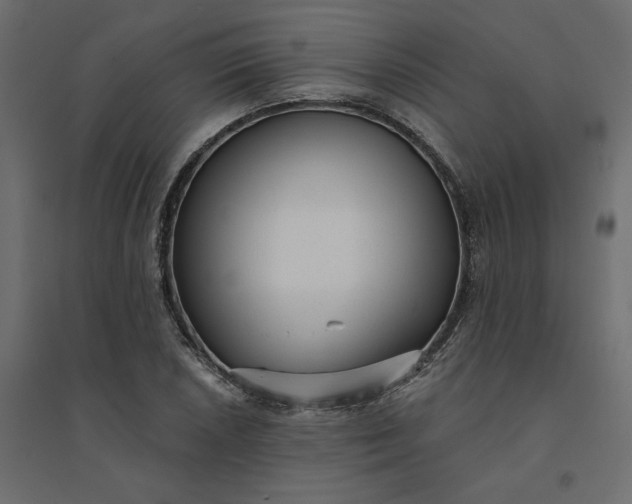 X0000094421026200711211406
