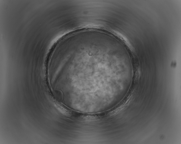 X0000094421027200711211406