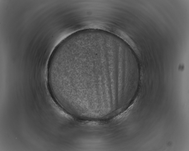X0000094421028200711211406
