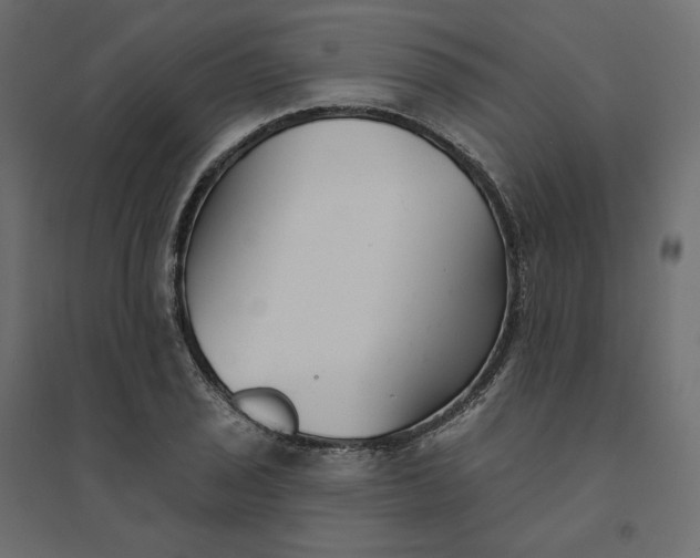 X0000094421029200711211406