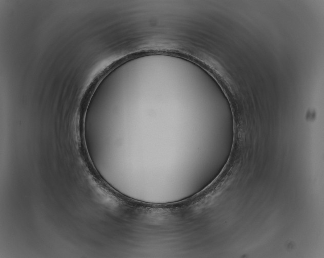 X0000094421030200711211406