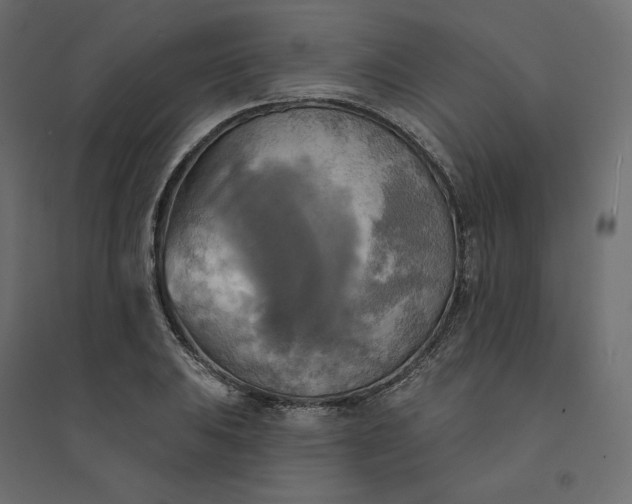 X0000094421031200711211406