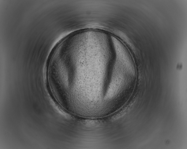 X0000094421032200711211406