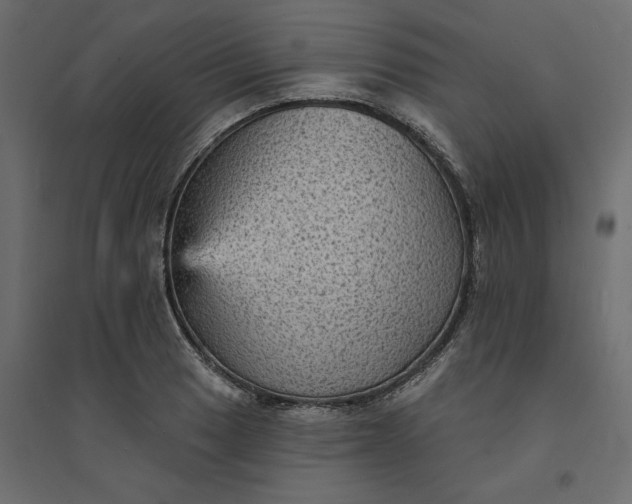 X0000094421033200711211406