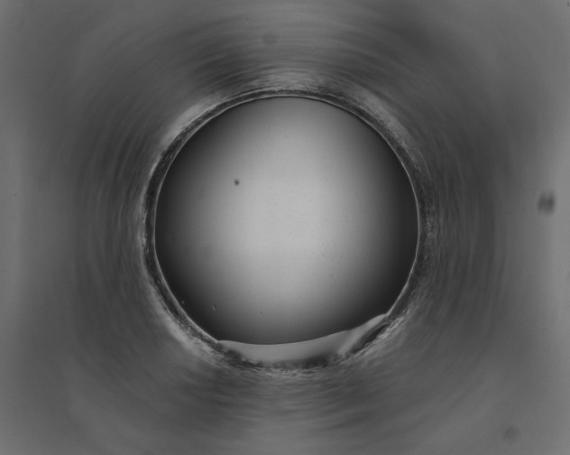 X0000094421034200711211406