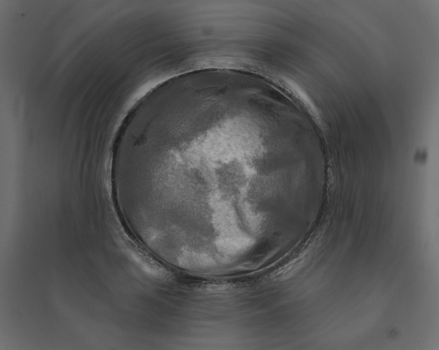X0000094421035200711211406