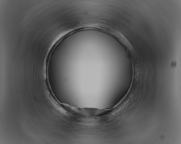 X0000094421036200711211406