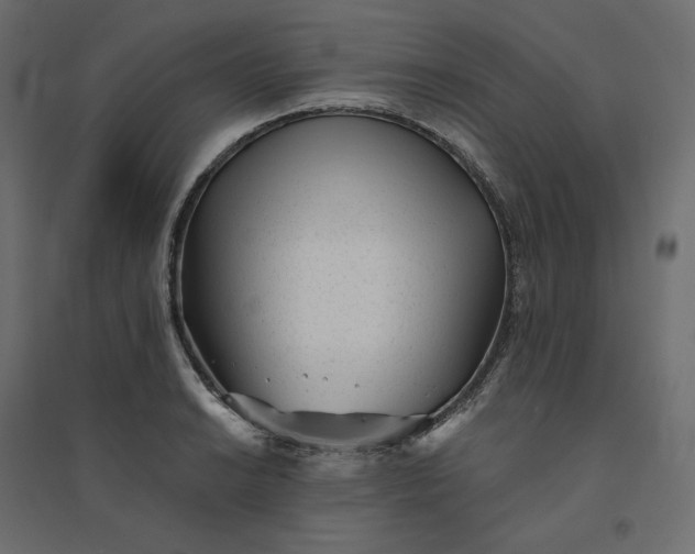 X0000094421038200711211406