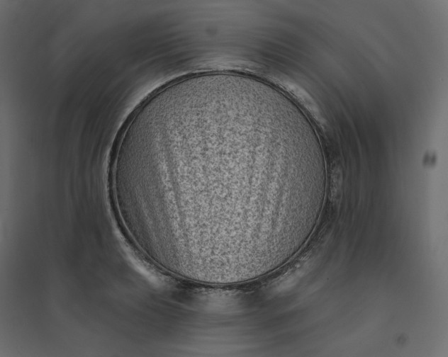 X0000094421039200711211406