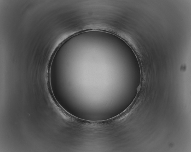 X0000094421040200711211406