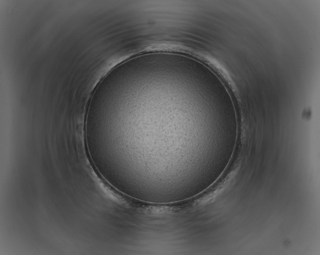 X0000094421041200711211406