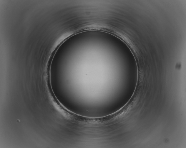 X0000094421042200711211406
