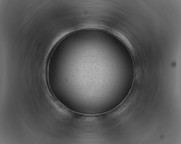 X0000094421043200711211406