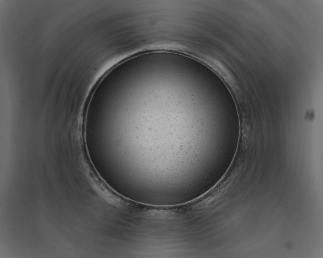 X0000094421044200711211406
