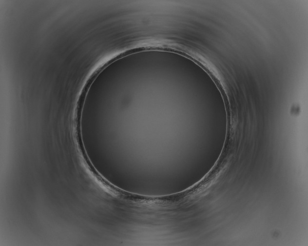 X0000094421045200711211406