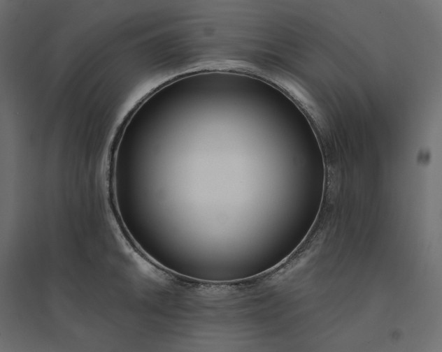 X0000094421046200711211406