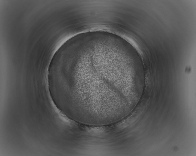 X0000094421047200711211406