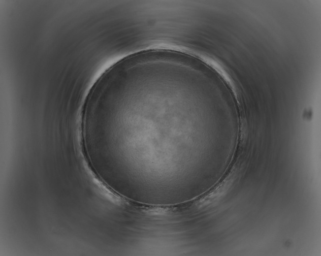 X0000094421048200711211406