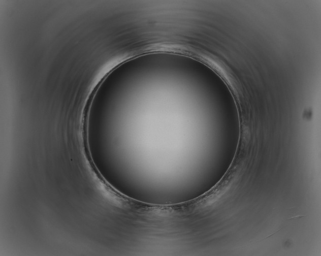 X0000094421050200711211406