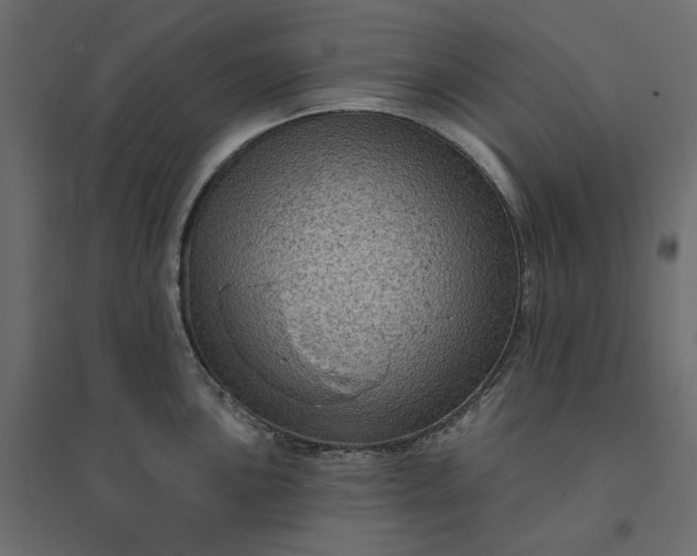 X0000094421051200711211406