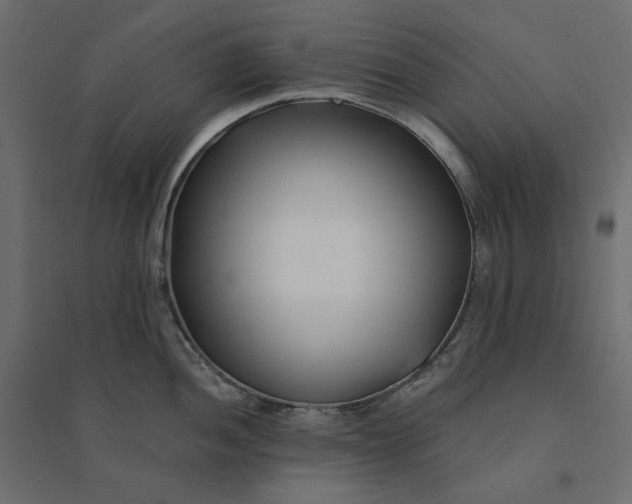 X0000094421052200711211406